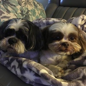 Meet your Posher, Karen